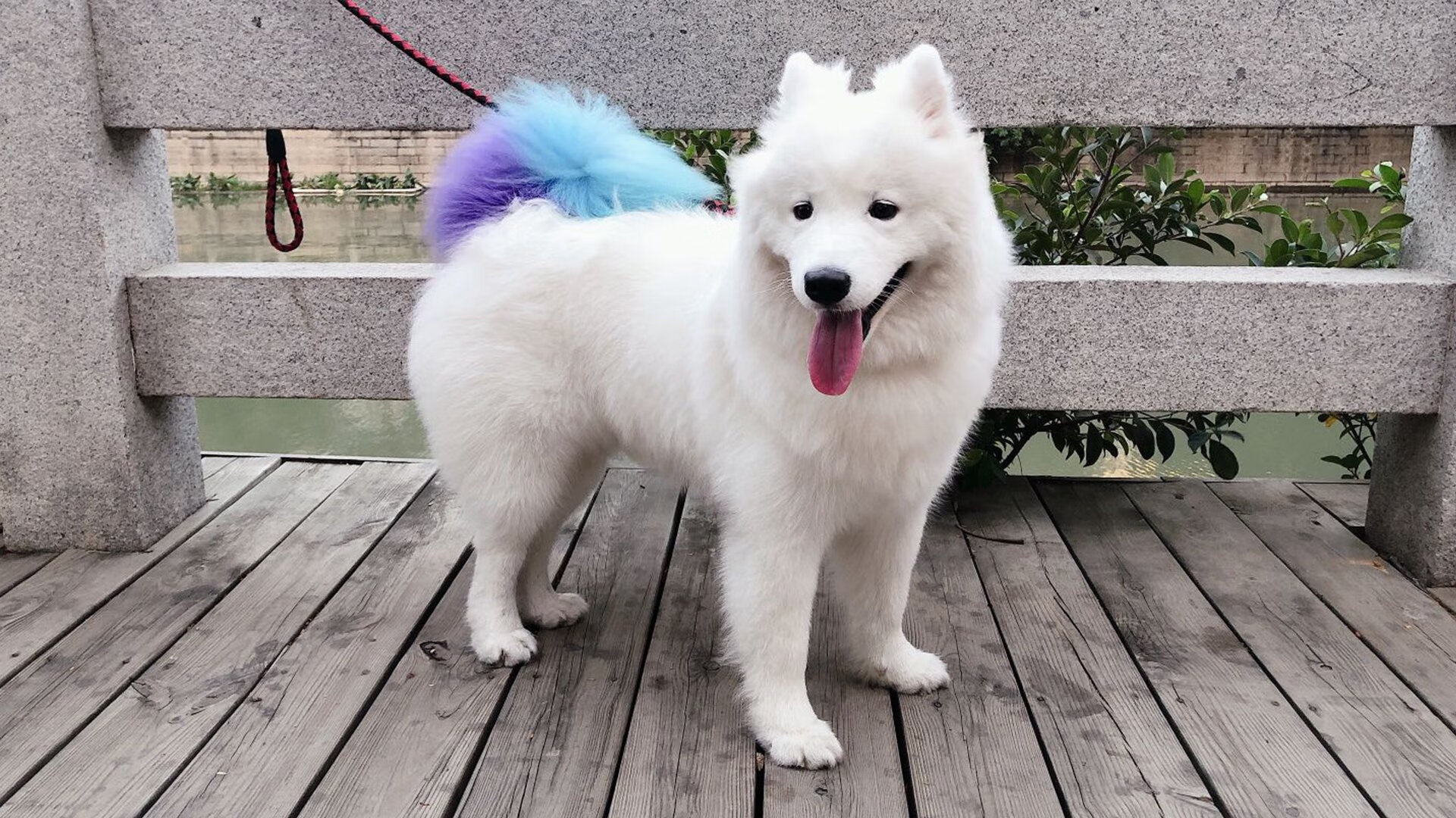 北京国安防守表现稳固，北京国安官宣