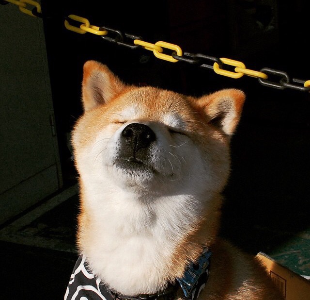 北京国安防线表现持续提升，北京国安出线