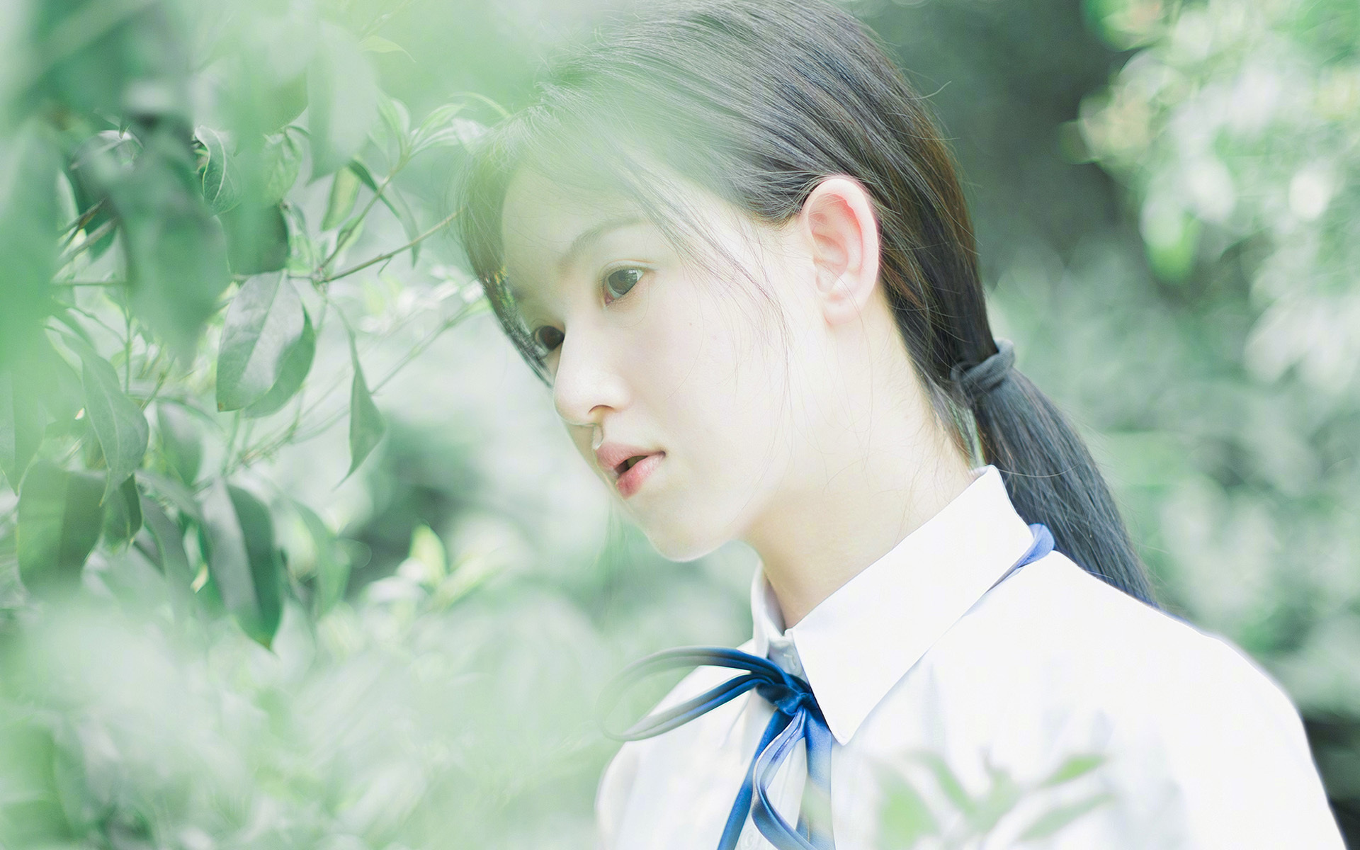 山东泰山球员赛季表现分析,山东泰山2021球员号码