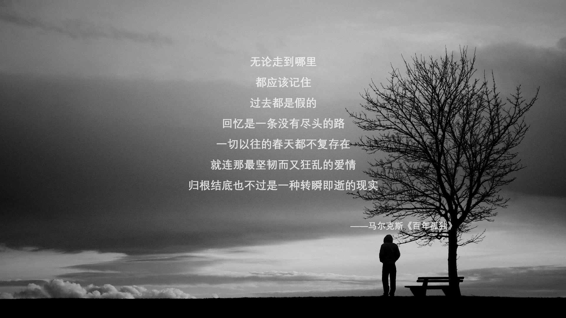 Leyu Sports (乐鱼体育)-猛龙后卫连续砍分，带领球队逆转胜利，猛龙得分后卫