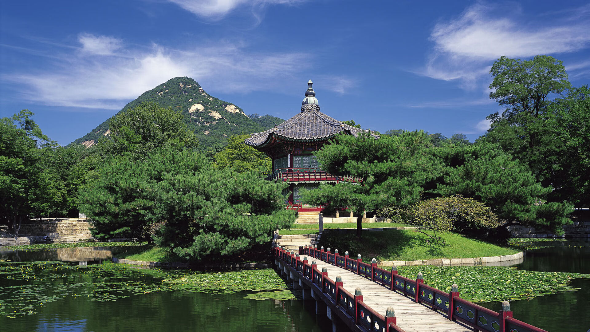 猛龙外线火力强劲，对手难以招架，猛龙完整版