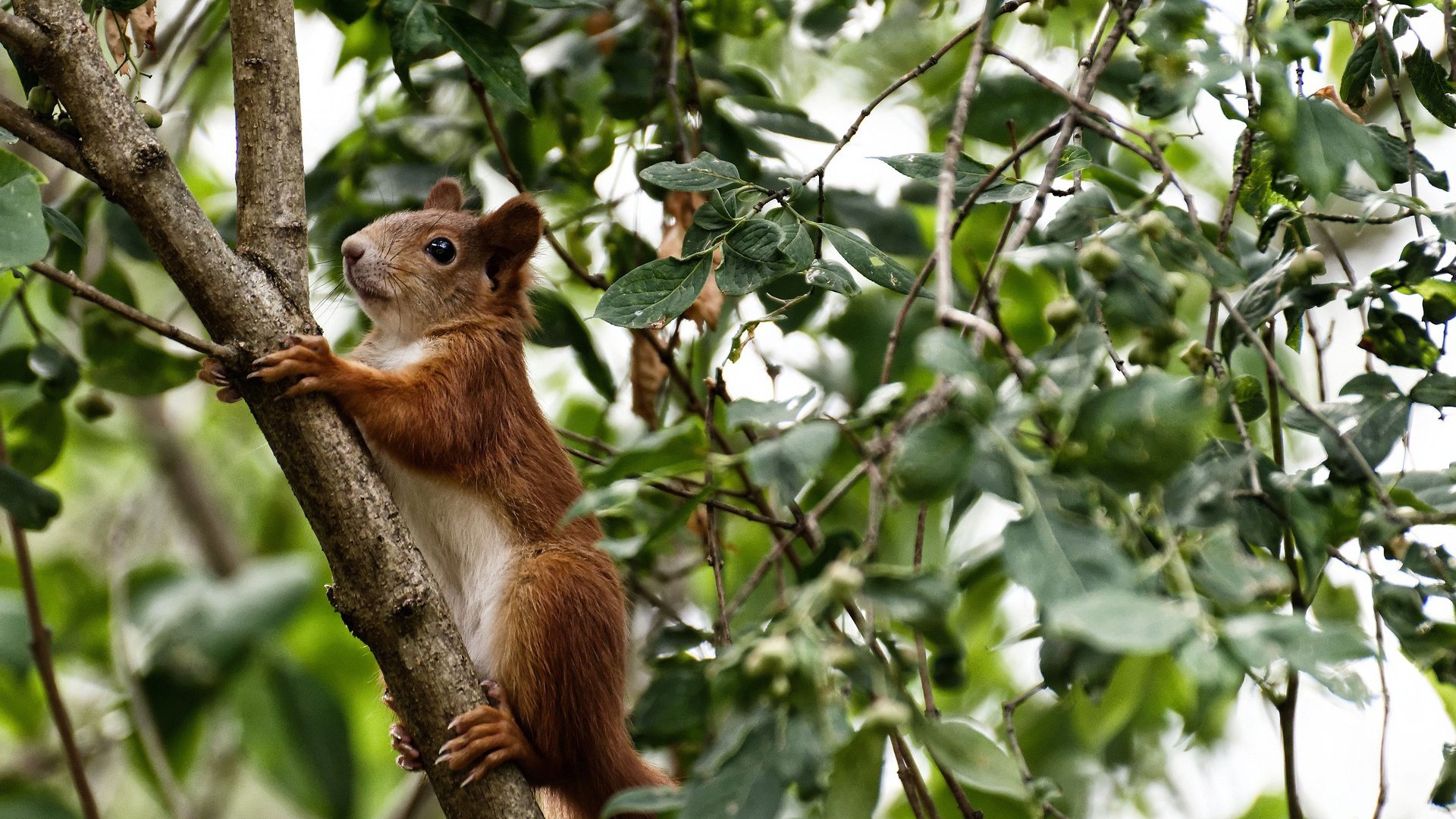 乐鱼体育App下载-精彩绝伦的比赛中让球迷们尽享视觉盛宴，球赛很精彩