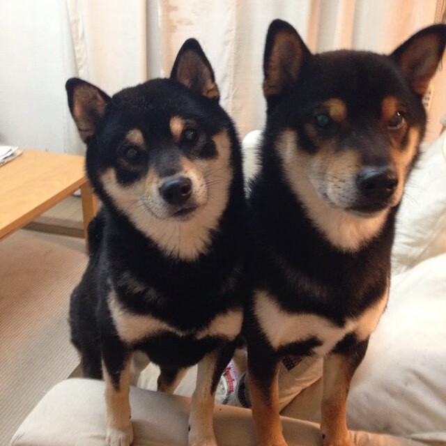 乐鱼（LEYU）体育-体育新闻中心发布体育内容原创质量评估指标，体育运行评价指标