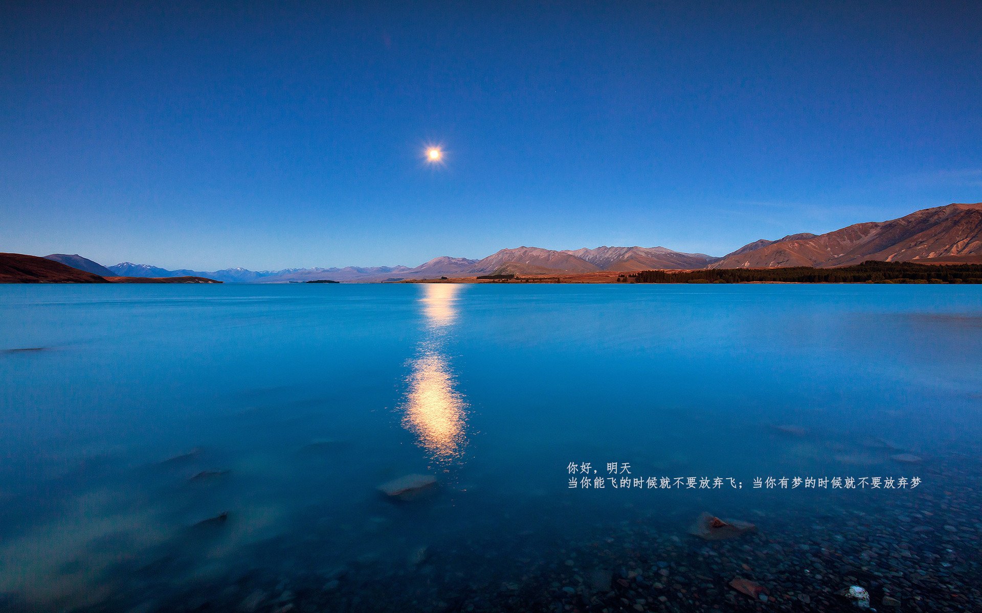 乐鱼电竞· (中国)官方网站-出发反应时间与最终成绩关系大揭秘，出发和返程