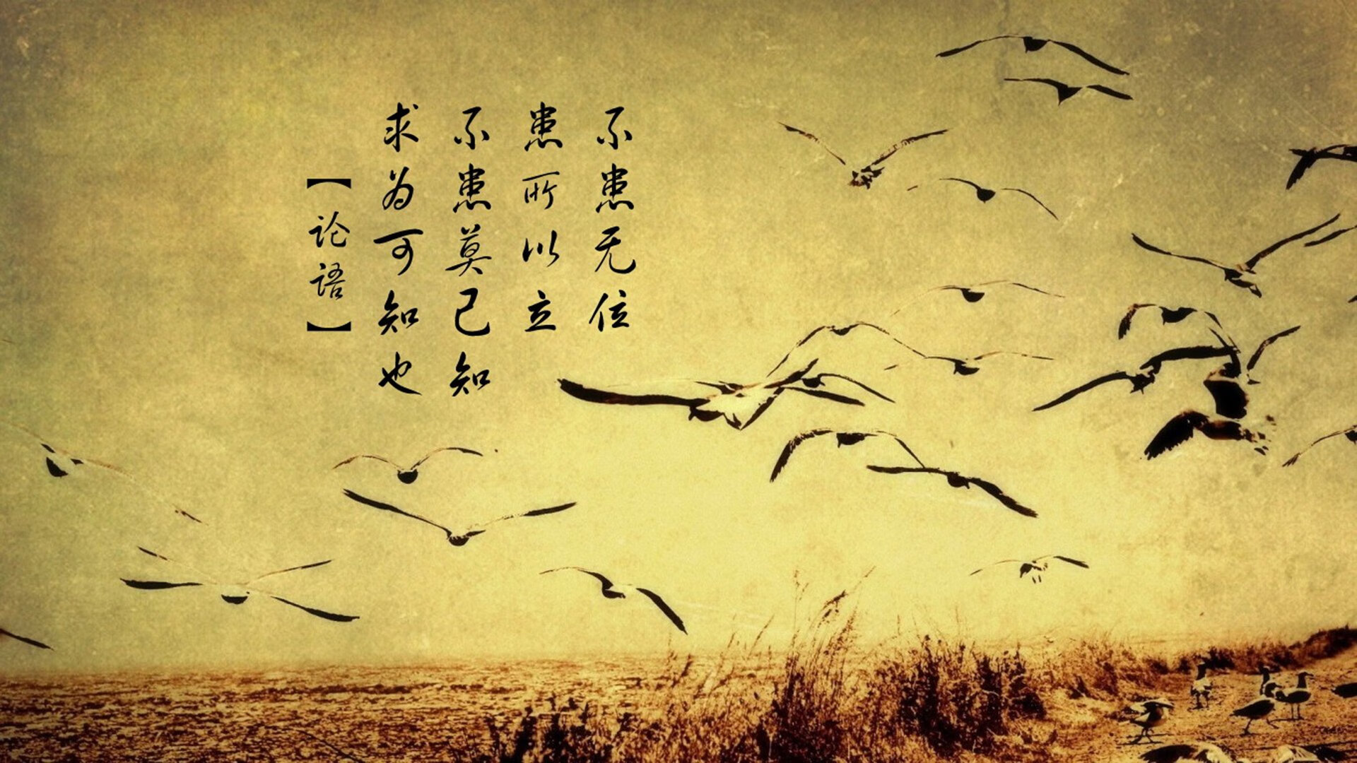 弗朗索瓦·斯图尔特：南非队的攻防中枢，组织起球队每一次反击