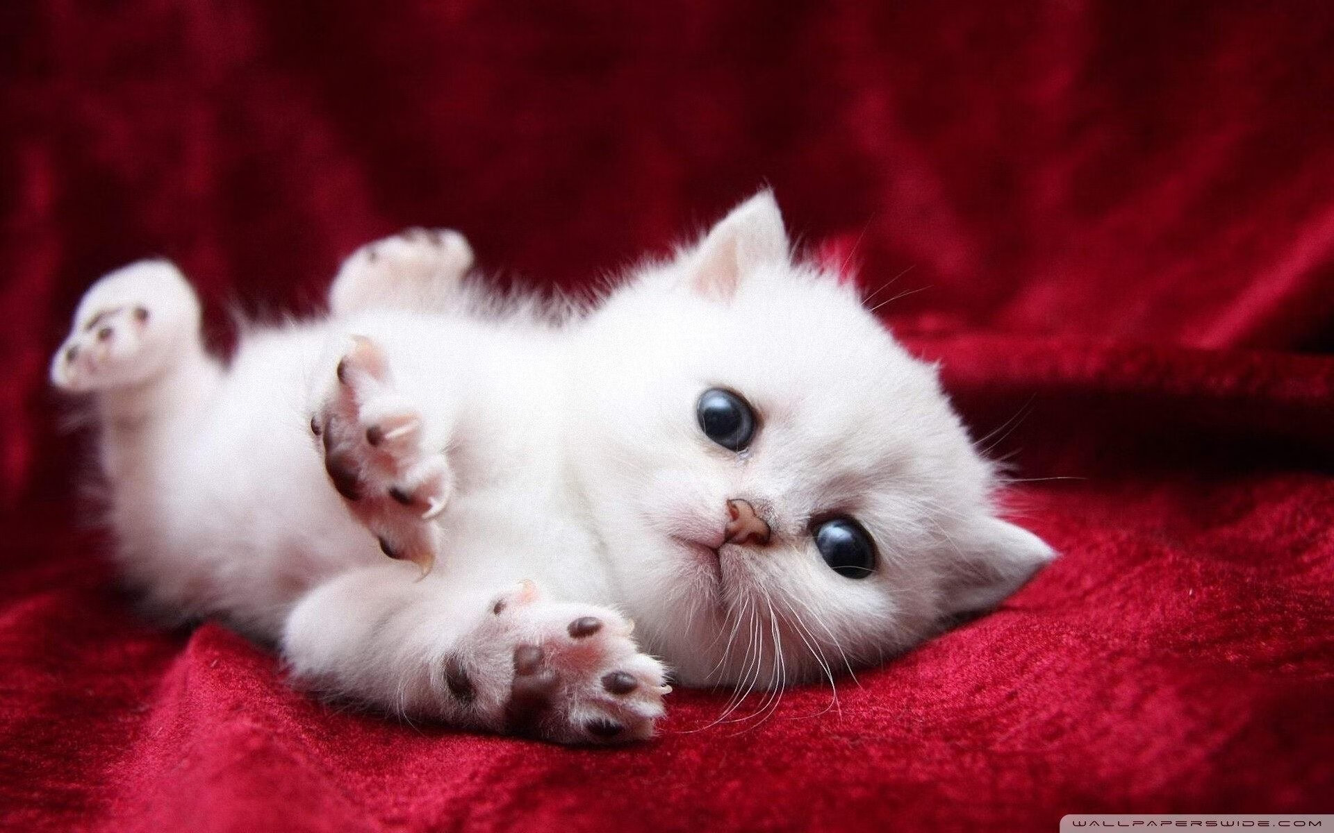 教练组强调首发名单确定将以状态表现为唯一评估标准,教练队伍