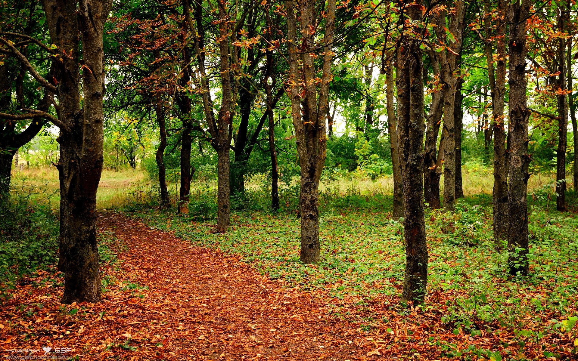 LEYU乐鱼体育官方网站-美洲杯激情巨献：个人表现点燃赛场，美洲杯精彩集锦