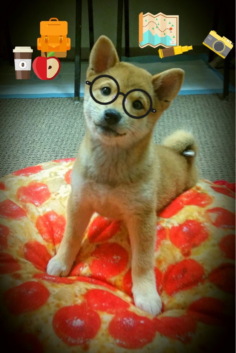 leyu乐鱼-蝶泳滑行时间占比增长，为成绩添翼，蝶泳划水路线