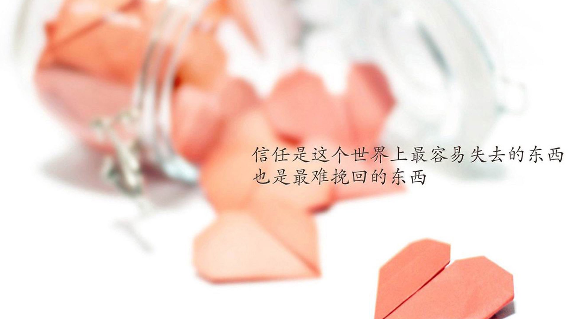 陈芋汐夺冠瞬间成赛场焦点，陈芋汐还有比赛吗