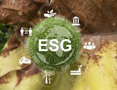 "法甲强队俱乐部财务健康报告：可持续发展的探讨"的简单介绍