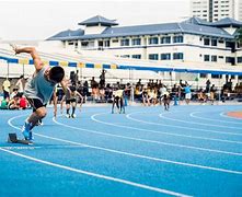 "田径运动员的心路历程：从梦想走向辉煌"的简单介绍