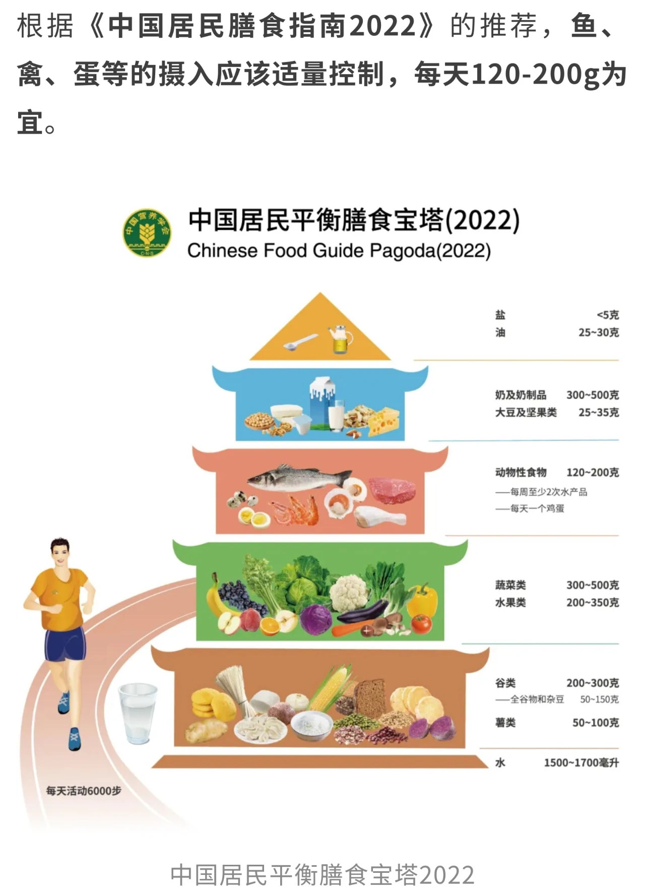 "食物与运动的关系：营养学在体育中的应用"的简单介绍